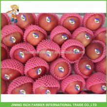 Red Color and Common Cultivation Type Fuji Apple Chinese Grade A Fresh Apple